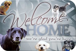 Welcome new dog graphic